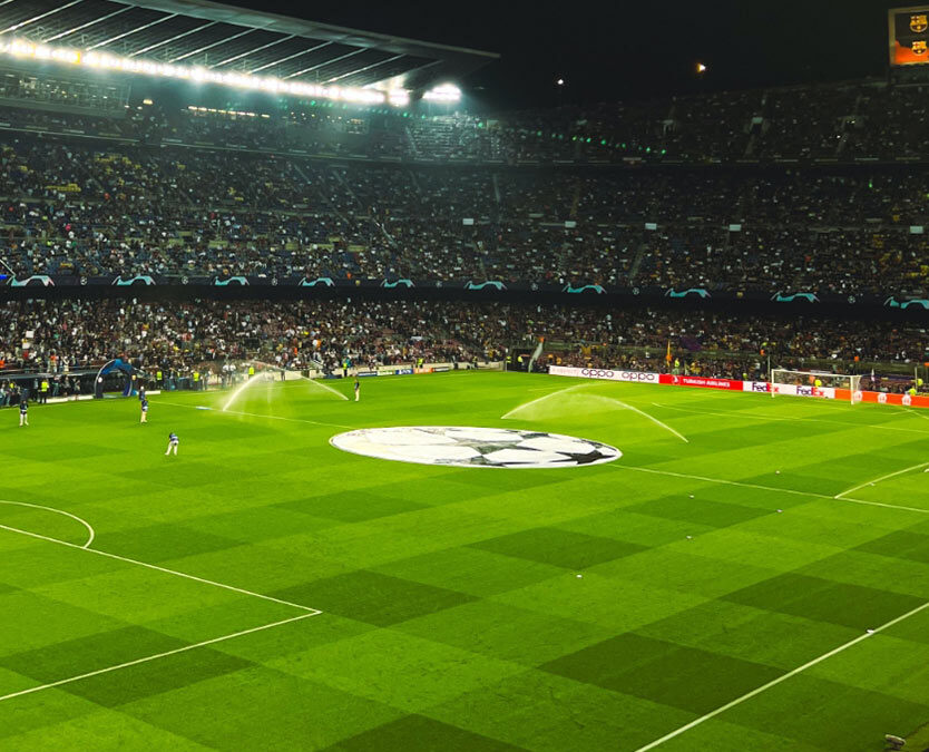 Injuries On The Pitch: The Road To Recovery